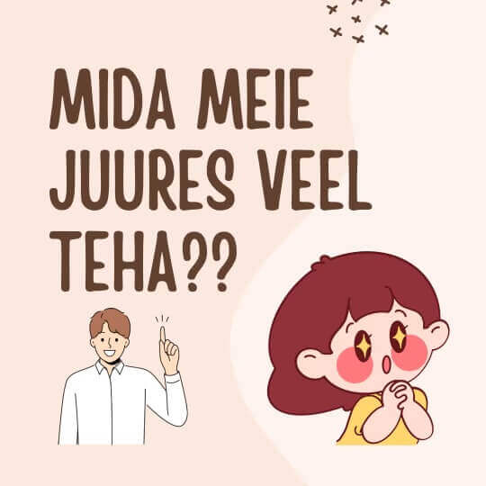 Tegevusi tutvustav pilt