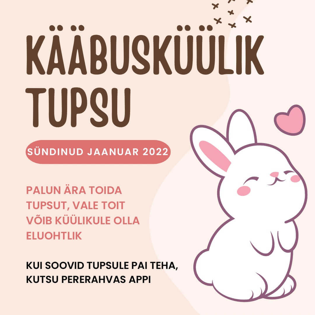 Kääbusküülikut tutvustav pilt